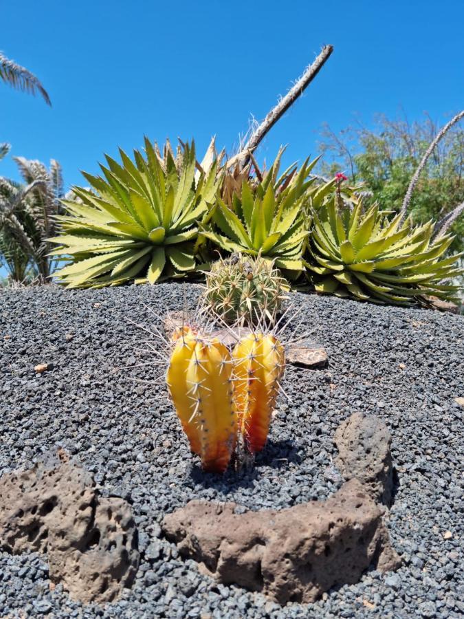 Casa Ina In El Roque, El Cotillo Appartement